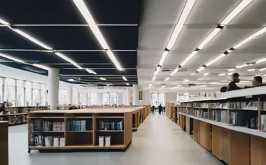 W bibliotece ruszyli tropem potworów - ta podróż nie znała granic