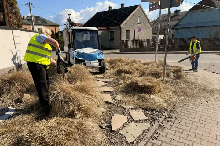 Miasto budzi się do życia – wiosenne porządki i tysiące cebulek w Niepołomicach